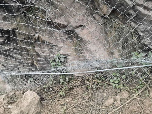 大慶鋼絲繩產品防護網生產廠家